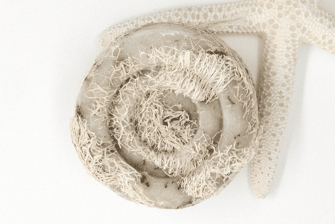 -lavender-loufah-2-min